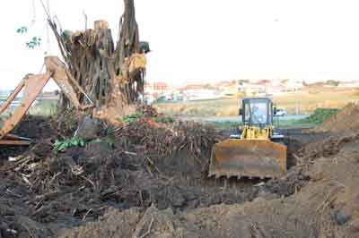 DSC_0013