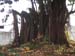 DSC00533 - Version 2